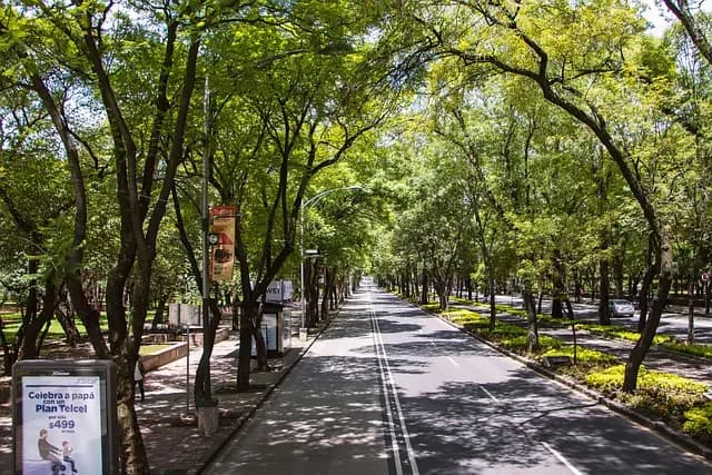 Guía de compra sillas de paseo todo terreno